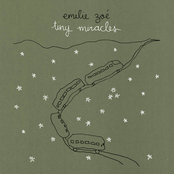 Tiny Miracles