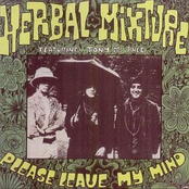Over You Baby by Herbal Mixture