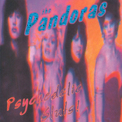 Craving For Your Love by The Pandoras