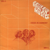 Voices In Harmony
