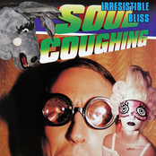 Soul Coughing: Irresistible Bliss