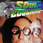 Soundtrack To Mary by Soul Coughing