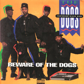 Beware Of The Dogs
