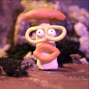Magic Mushroom