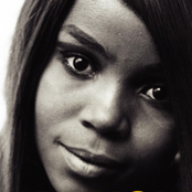 p. p. arnold