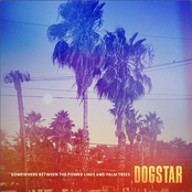 Dogstar: Somewhere Between the Power Lines and Palm Trees