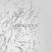 Concord - EP