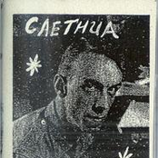 The Pleasures of Manhood