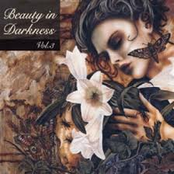 Beauty in Darkness Vol. 3
