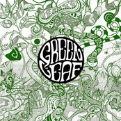 Case Of Fidelity by Greenleaf