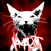 I Am A Cat