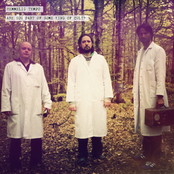 Are You Part of Some Kind of Cult?