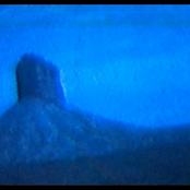 uyu uuu / silver dove