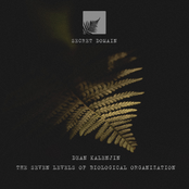 The Seven Levels Of Biological Organization