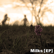 Floral White (ex-Milks) EP 2 (2012)