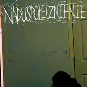 Instynkt śmierci
