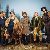 steve`n`seagulls