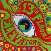 Before You Accuse Me by 13th Floor Elevators