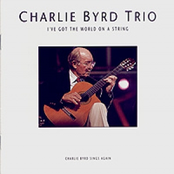 The Great Jazz Guitars