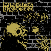 Portuguese / Swedish Hardcore Punk Raw Pollution