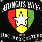 Mungo's Hi-fi Meets Brother Culture