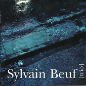 Sylvain Beuf Trio