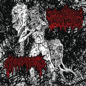 Cadaveric Incubator: Split EP