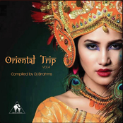 Oriental Trip, Vol. 4 (Compiled by Dj Brahms)