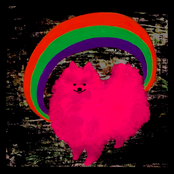 twenty year pre roll