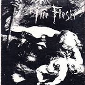 Icecold Macabre Lust