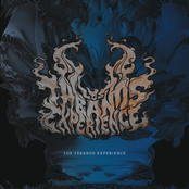 Split With Domboshawa