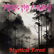 Mystical Forest