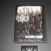 Under The Wings of Grace