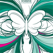 let a thousand flowers bloom