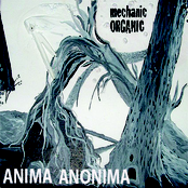AA EP