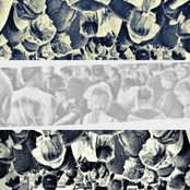 The Intentions of Honesty, Kindness and Perseverance