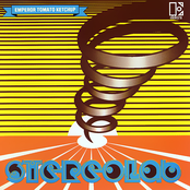 The Noise Of Carpet by Stereolab