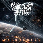 Shadow of Intent: Primordial