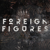 Foreign Figures: Wild