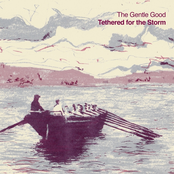 Cysgod Y Dur by The Gentle Good