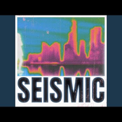 Seismic