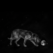 Canary and Milktooth