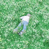 Nurture