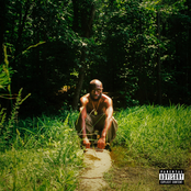 Pote Baby: Yard Work 3