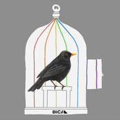 Deryn Du (FRMAND Remix) - Single