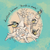 Birds In Shells