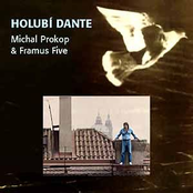 Holubi dante