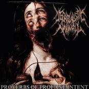PROVERBS OF PROFANE INTENT - EP