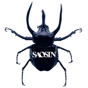 Saosin: Saosin