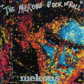 The Mekons: The Mekons Rock 'n' Roll